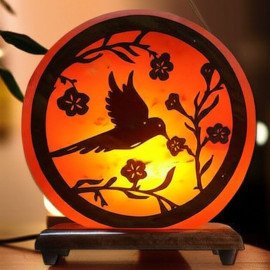 3D Printed Flying Bird Himalayan Salt Lamp 