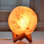 Full Moon Himalayan Salt Lamp
